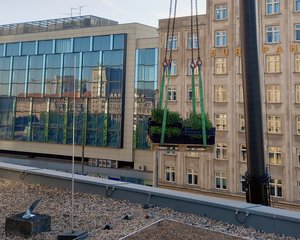 Ein Kran bringt Pflanzen auf ein Flachdach